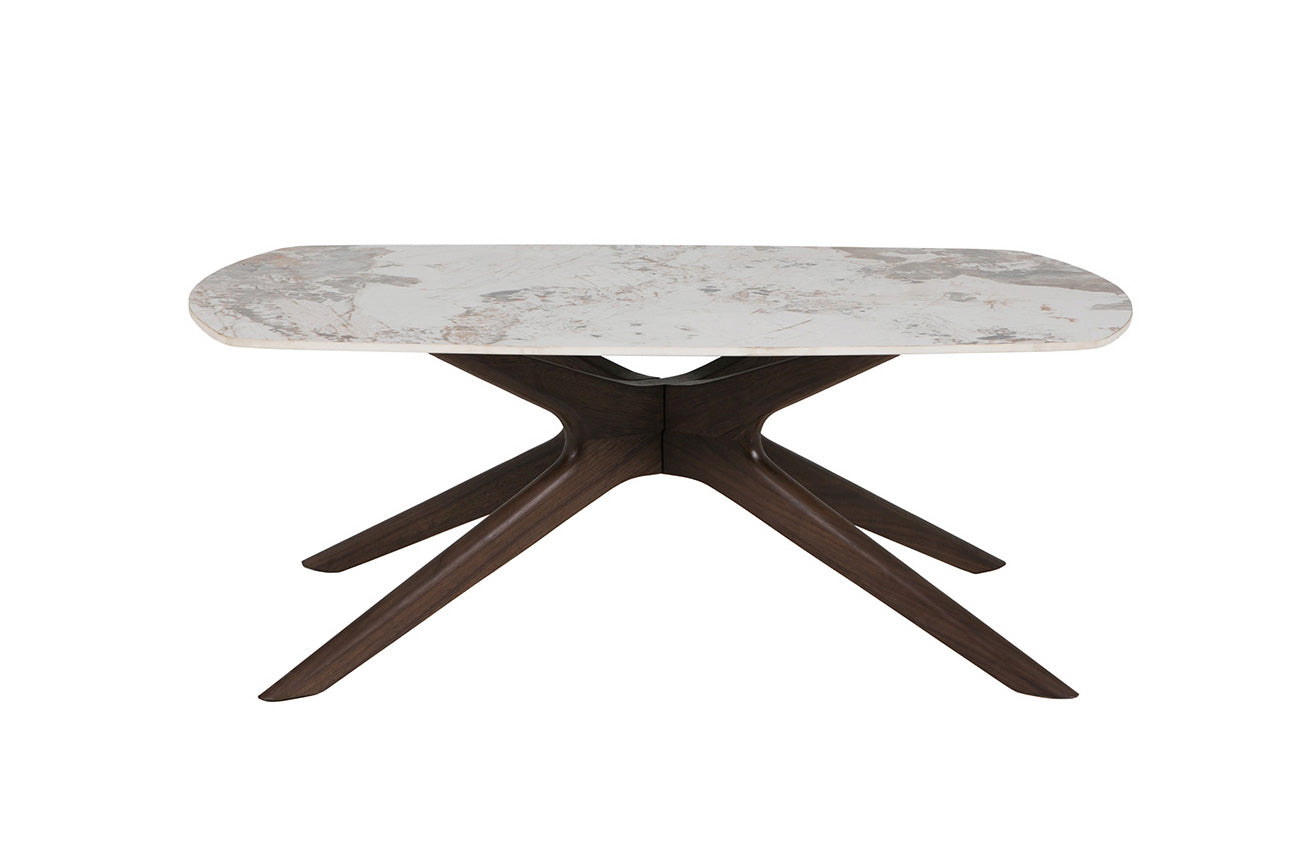Arya Coffee Table