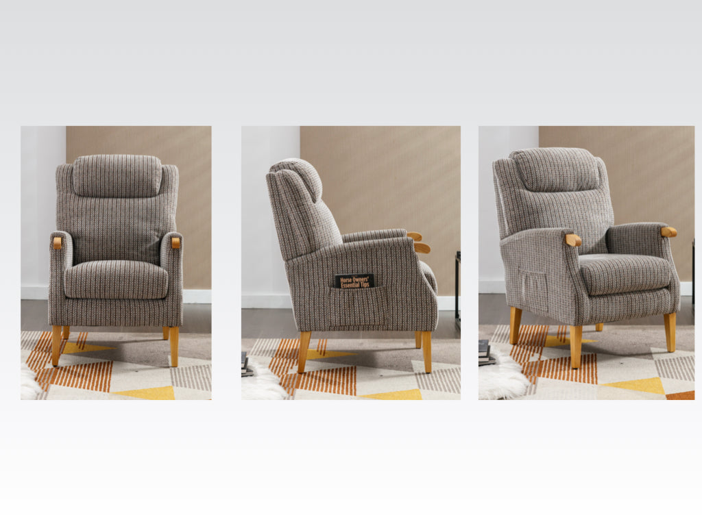 Aster Fireside Chair - Latte